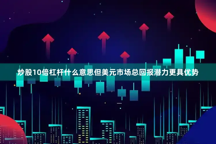 炒股10倍杠杆什么意思但美元市场总回报潜力更具优势